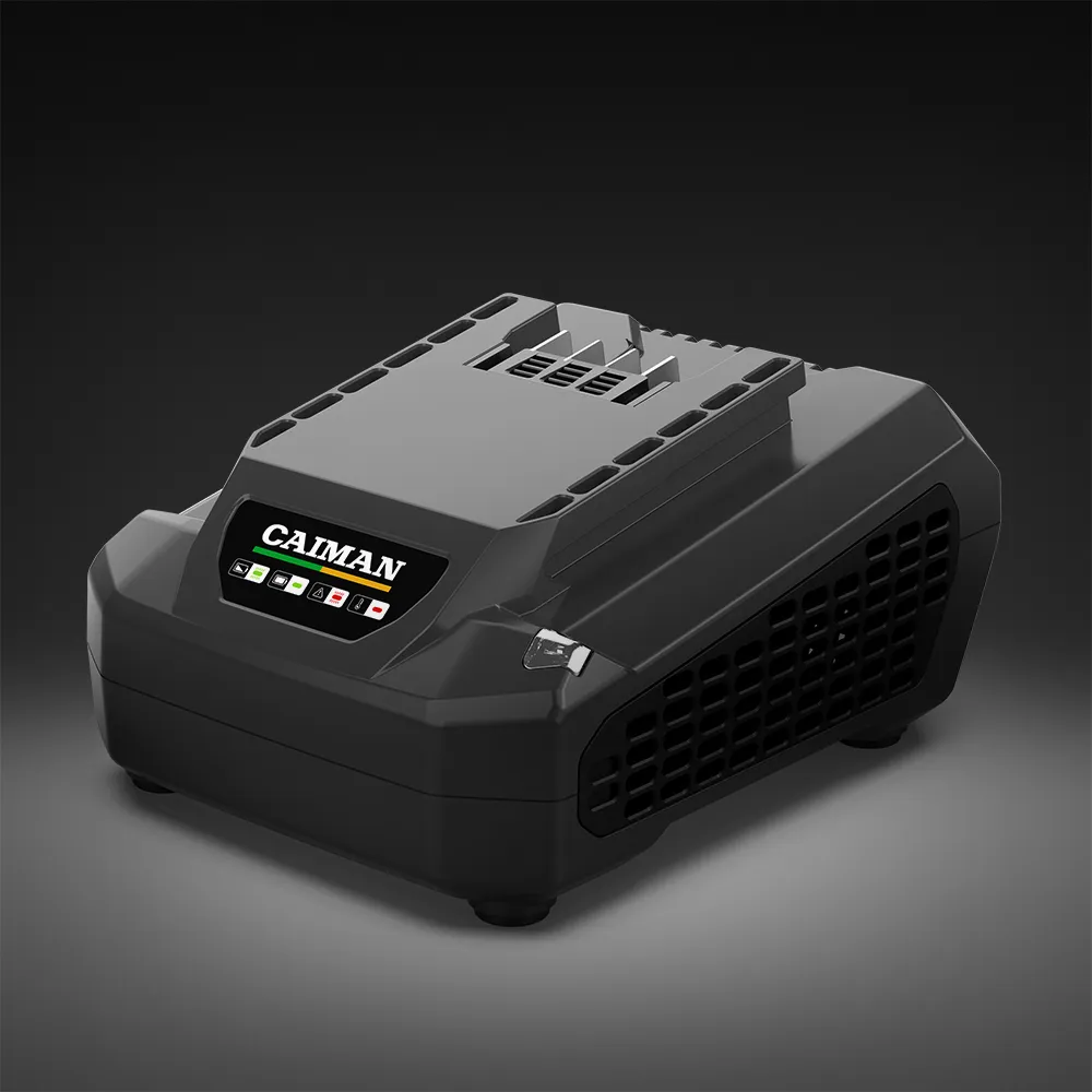 Зарядное устройство CAIMAN ENO C6025, для батарей 4-8Ah, стандартное (01-010615-0001)