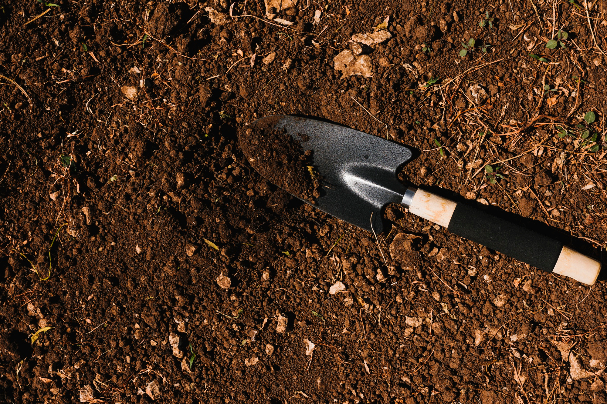 top-view-spade-on-the-ground.jpg