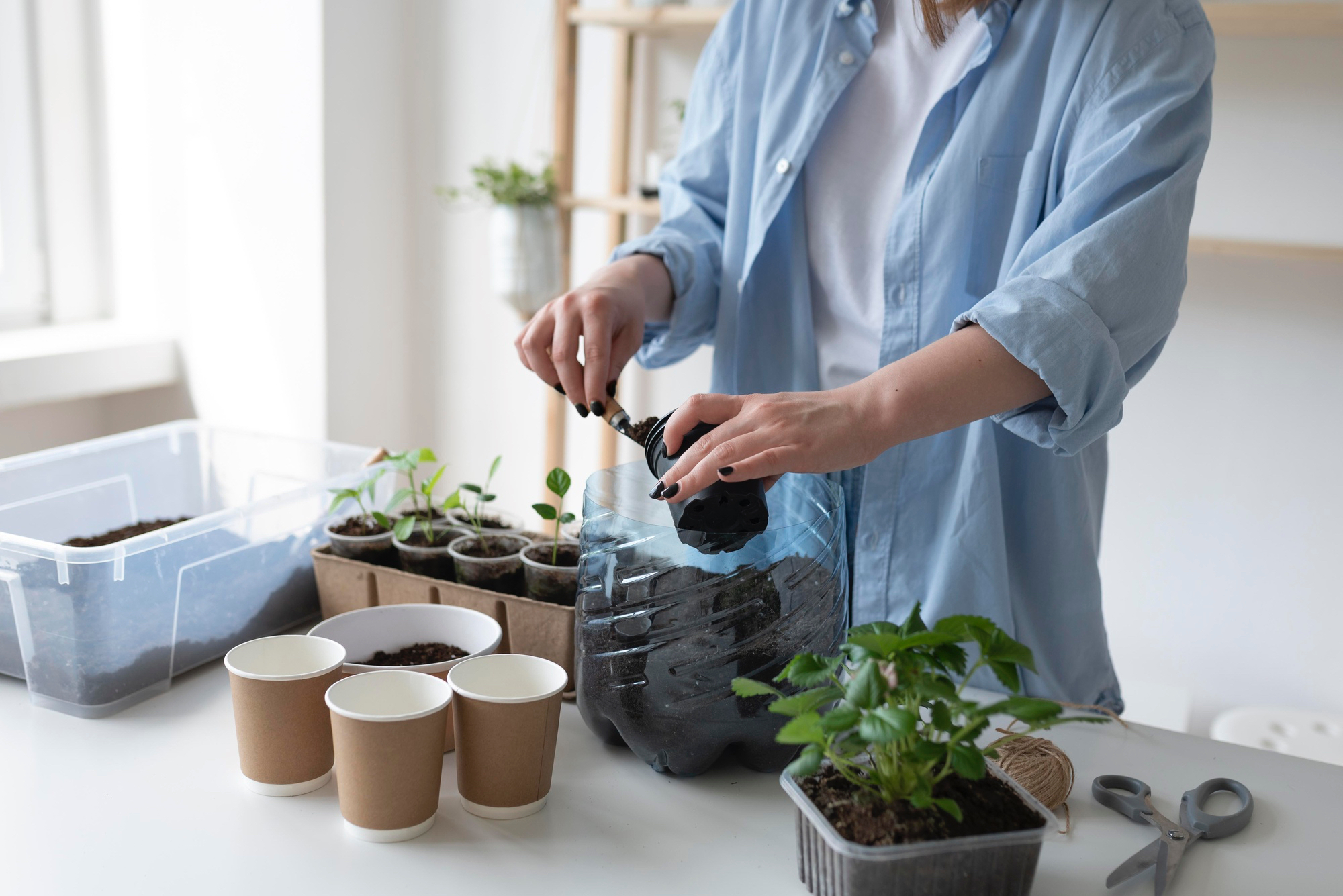 woman-having-a-sustainable-garden-indoors.jpg