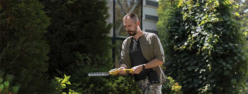 Caiman-int-2025-5.jpg