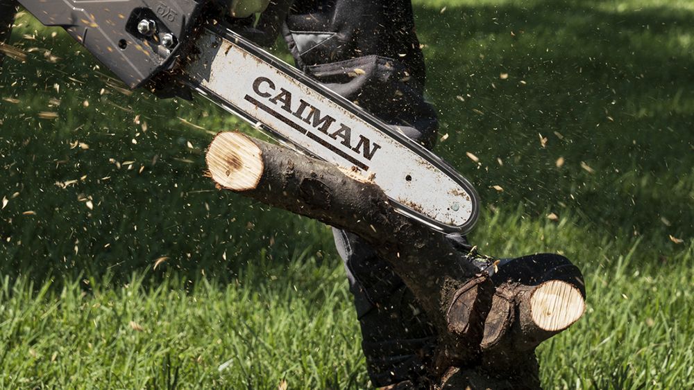 Pages 40_41_CAIMAN CHAIN OIL_4.jpg