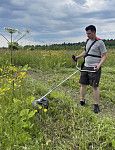 Бензокоса CAIMAN WM27