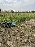 Косилка для высокой травы бензиновая CAIMAN RM80C