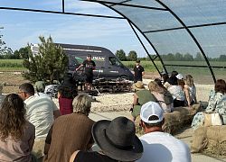 CAIMAN на мастер-классе по топиарной стрижке